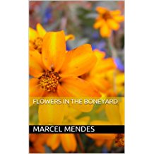 Flowers in the Boneyard novel